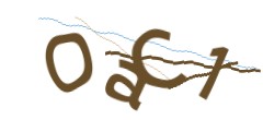 Identifying code
