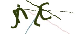 Identifying code