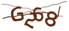 Identifying code