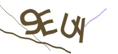 Identifying code