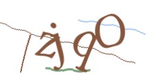Identifying code