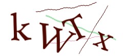 Identifying code