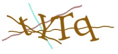Identifying code