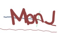 Identifying code