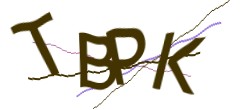 Identifying code