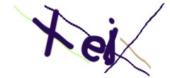 Identifying code