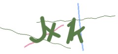 Identifying code