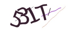 Identifying code