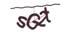 Identifying code