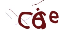Identifying code