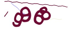 Identifying code