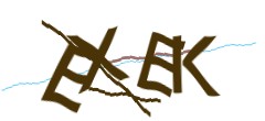 Identifying code