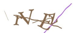 Identifying code