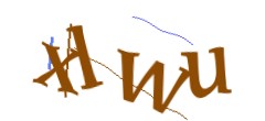 Identifying code