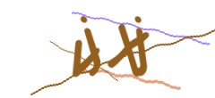Identifying code