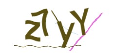 Identifying code