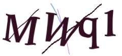 Identifying code