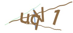 Identifying code