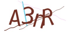 Identifying code