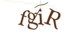 Identifying code