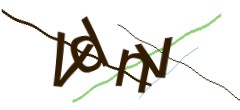 Identifying code