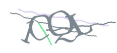 Identifying code