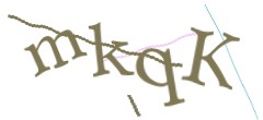 Identifying code
