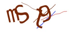Identifying code