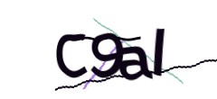 Identifying code