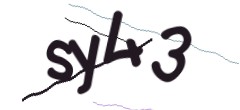 Identifying code