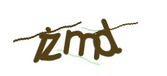 Identifying code
