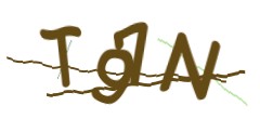 Identifying code
