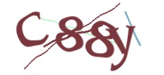 Identifying code