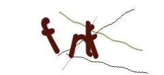 Identifying code