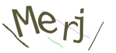 Identifying code