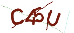 Identifying code