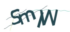 Identifying code