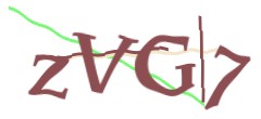 Identifying code