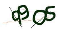 Identifying code