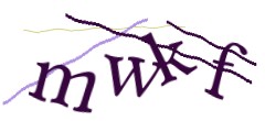 Identifying code