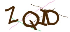 Identifying code