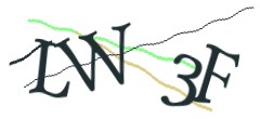 Identifying code