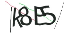 Identifying code