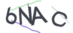 Identifying code