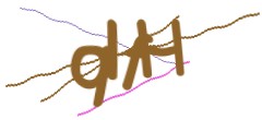 Identifying code