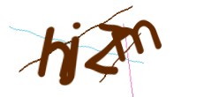 Identifying code
