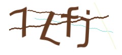 Identifying code