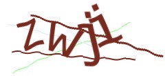 Identifying code