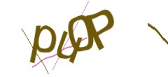 Identifying code