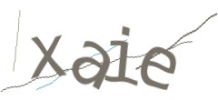 Identifying code